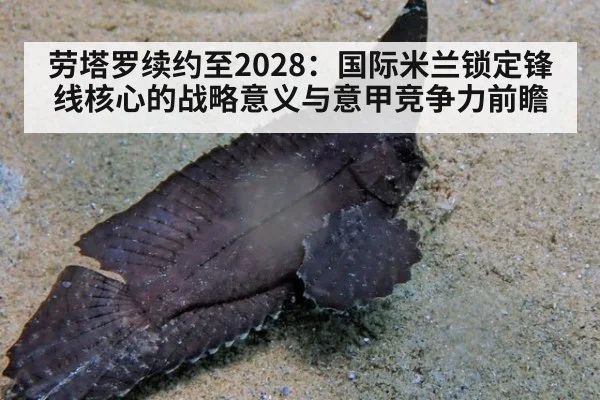 劳塔罗续约至2028:国际米兰锁定锋线核心的战略意义与意甲竞争力前瞻