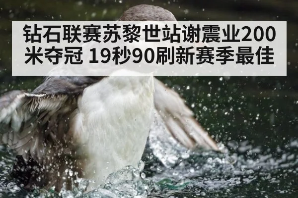 钻石联赛苏黎世站谢震业200米夺冠 19秒90刷新赛季最佳
