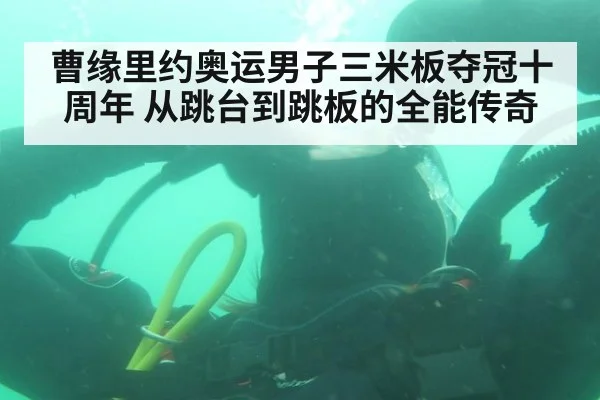 曹缘里约奥运男子三米板夺冠十周年 从跳台到跳板的全能传奇